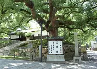 青蓮院門跡の写真・動画_image_256922