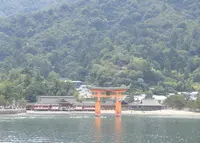 厳島神社の写真・動画_image_260402