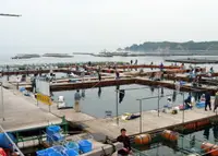 家島町坊勢５５の写真・動画_image_266717