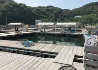 家島漁協釣堀センターの写真・動画_image_266755