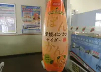 愛媛県の写真・動画_image_269606