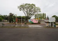 和歌山交通公園の写真・動画_image_269629