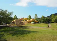 四季の郷公園の写真・動画_image_270093
