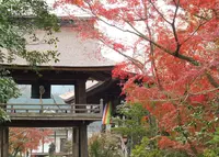 願興寺の写真・動画_image_279415