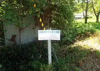 大柄沢キリシタン洞窟の写真・動画_image_281731