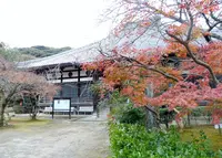 功山寺の写真・動画_image_285455