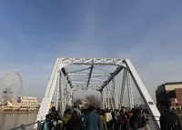 横浜汽車道の写真・動画_image_290693