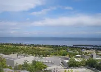 淡路夢舞台の写真・動画_image_291278