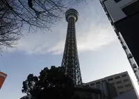 横浜マリンタワーの写真・動画_image_291442