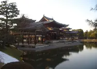 平等院の写真・動画_image_293389