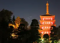 金剛寺（高幡不動尊）の写真・動画_image_295961