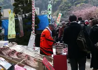 河津駅の写真・動画_image_296131