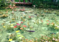 モネの池（名もなき池）の写真・動画_image_298496