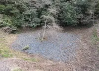 史跡金ヶ崎城跡の写真・動画_image_299452