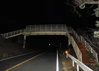 日本平パークウェイの歩道橋の写真・動画_image_301132