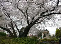 港の見える丘公園の写真・動画_image_301341
