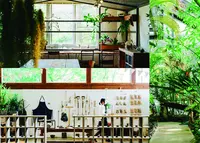 花のがっこうの写真・動画_image_302419