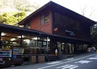 きくち渓谷館の写真・動画_image_306905