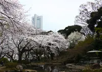 掃部山公園の写真・動画_image_307731