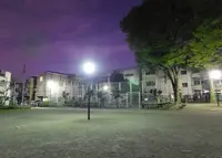 神谷公園の写真・動画_image_308444