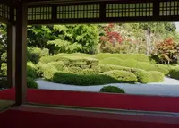 大池寺の写真・動画_image_315470