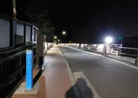 奥多摩橋の写真・動画_image_322506