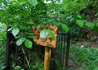 海沢公園の写真・動画_image_322708