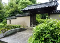 孤篷庵の写真・動画_image_332766