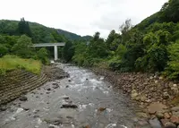 タヌキの湯の写真・動画_image_420225
