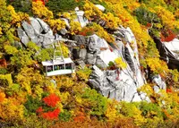 駒ヶ岳ロープウェイ 千畳敷駅の写真・動画_image_421430