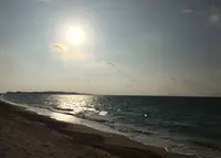 アーラ浜の写真・動画_image_451035