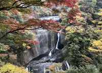 袋田の滝の写真・動画_image_456963
