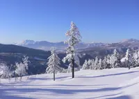 万座温泉スキー場の写真・動画_image_462366