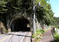 大野虹の湖歩道橋の写真・動画_image_482945