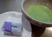 花ごころの写真・動画_image_496664