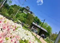 ゆらのガーデンの写真・動画_image_504599
