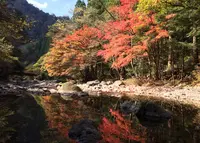 見谷渓谷の写真・動画_image_523511