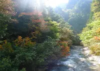 日之影川の写真・動画_image_523512