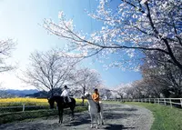 綾馬事公苑の写真・動画_image_529414