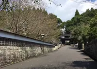 飫肥城下町の写真・動画_image_537105