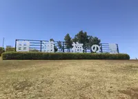 田浦梅の里の写真・動画_image_557642