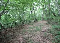 草軽電鉄軌道跡（別荘地内）の写真・動画_image_605934