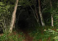 乙女の祈りの写真・動画_image_644935