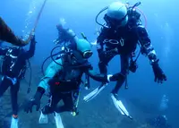 PADI ダイビングスクール 城ヶ島ダイビングセンターの写真・動画_image_724826