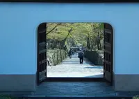 興聖寺の写真・動画_image_751269
