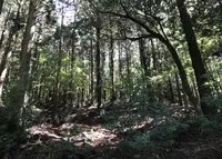 旧天城トンネルの写真・動画_image_773523