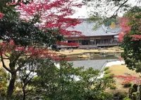 常栄寺の写真・動画_image_845980