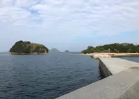 真宮島の写真・動画_image_846607