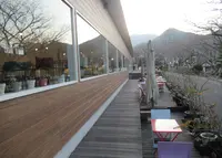 KiHaKo「嬉箱」の写真・動画_image_883000