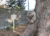 夜叉婆さん伝説の地の写真・動画_image_893268